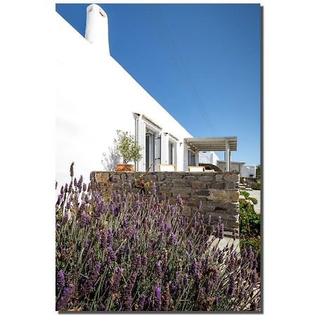 Exochi Traditional Houses Krotiri Chambre photo