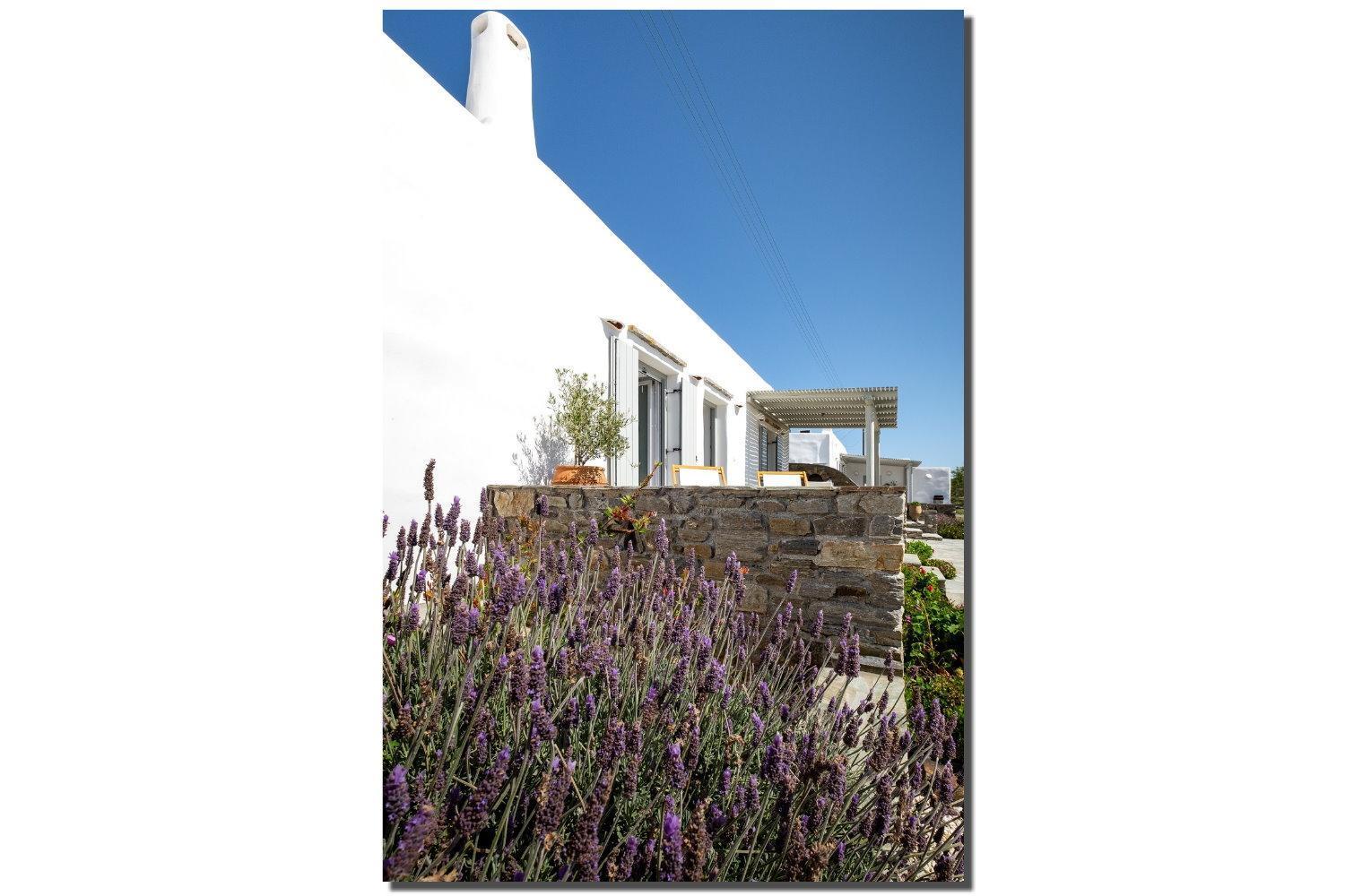 Exochi Traditional Houses Krotiri Chambre photo